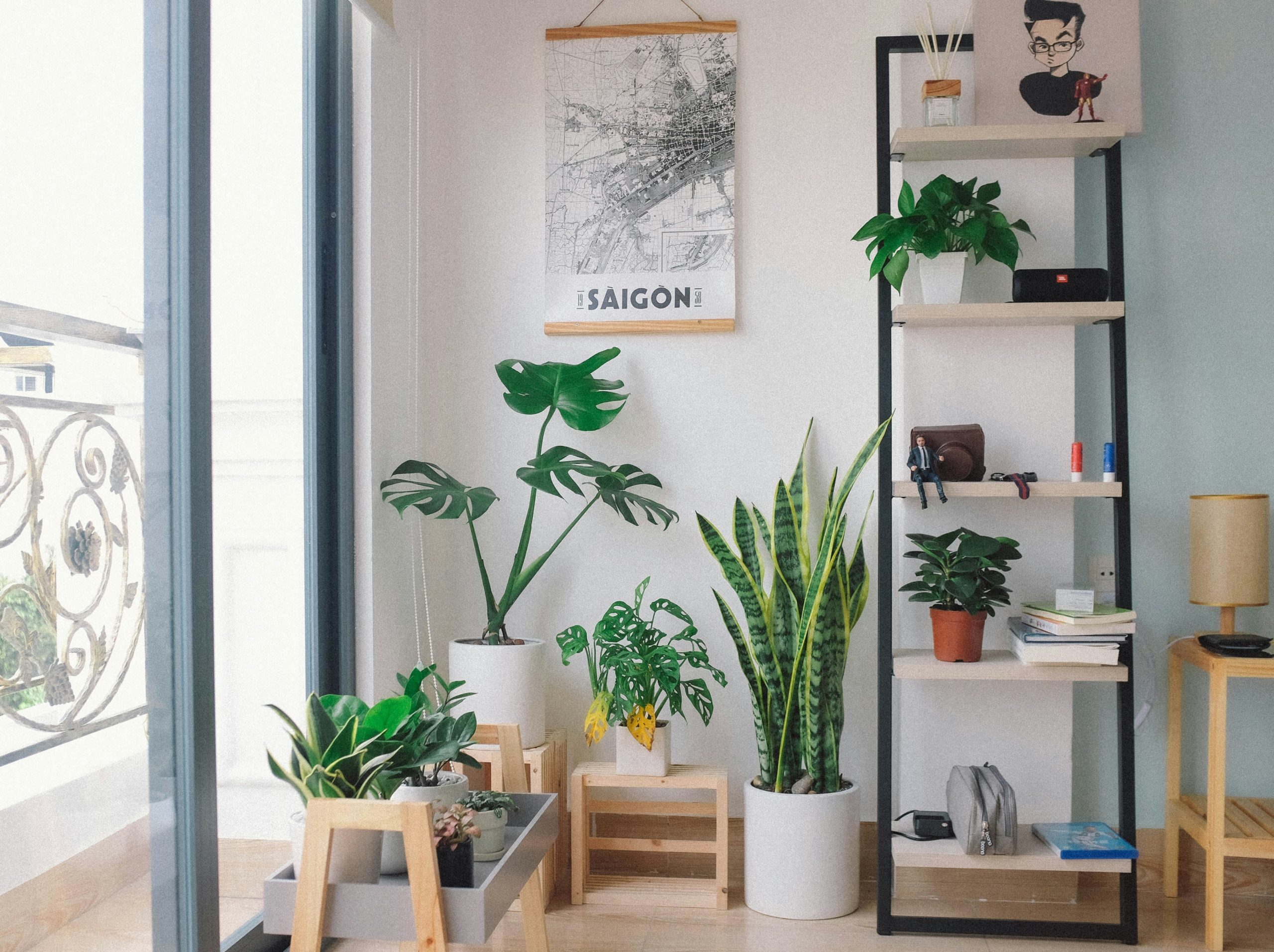 How to Style Indoor Plants: 10 Best Modern & Creative Ideas