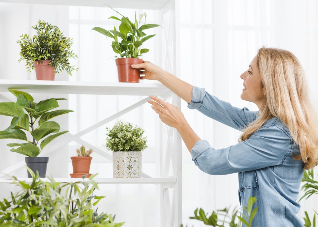 10 Essential Tips: The Complete Beginner’s Guide to Indoor Plant Care