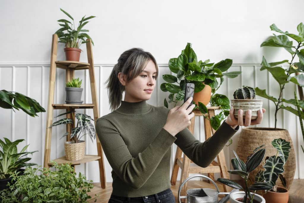 10 Essential Tips: The Complete Beginner’s Guide to Indoor Plant Care