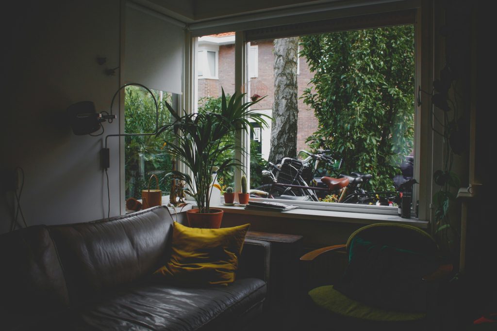 Indoor Plant Care: The Complete Guide to Keeping Houseplants Healthy Indoors