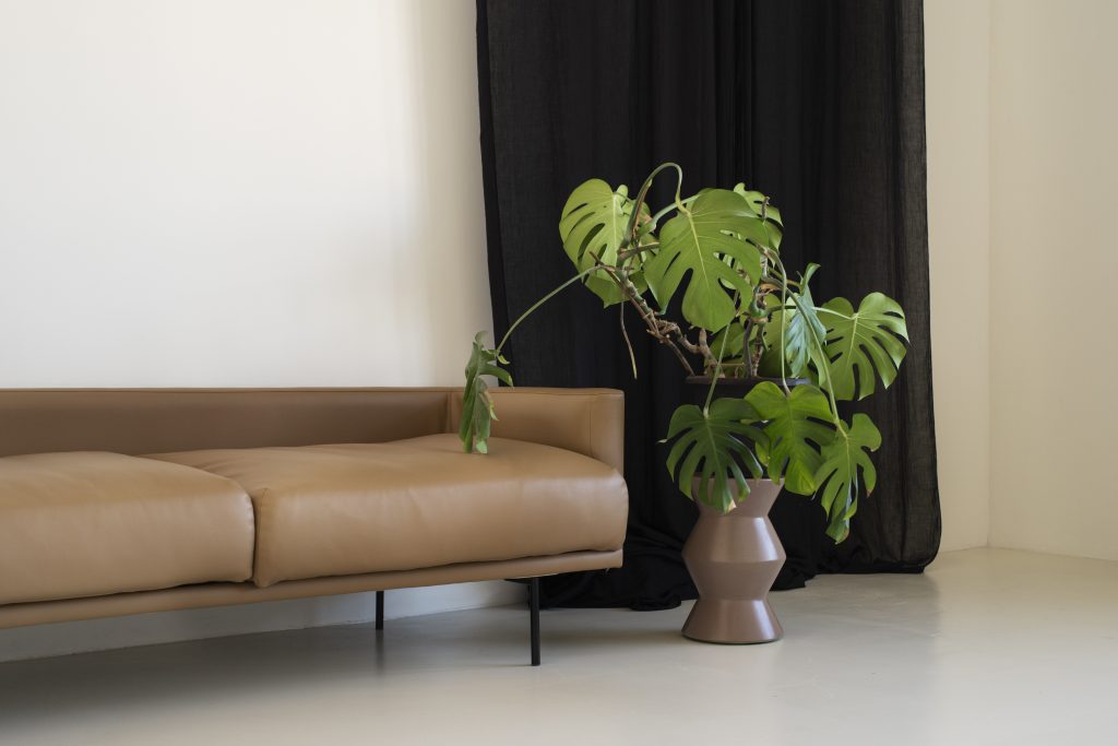 Large Indoor Plants: 12 Statement Varieties for a Bold Home Jungle