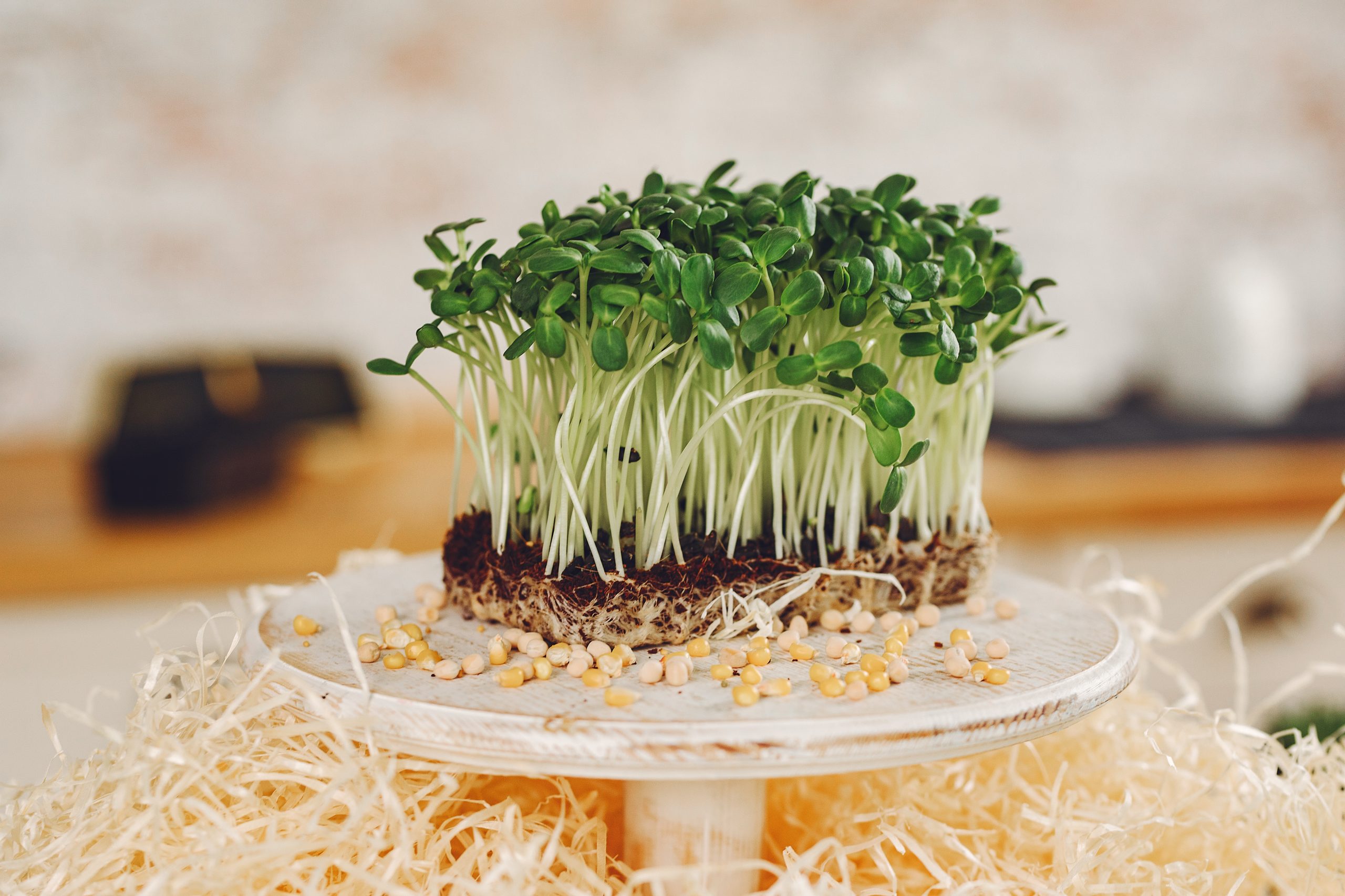 Microgreens Benefits: 12 Scientific Reasons to Grow These Superfoods