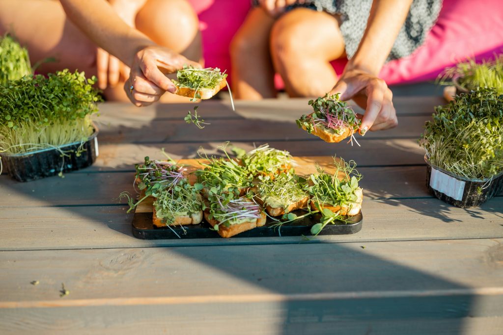 How to Grow Microgreens: 12 Professional Steps to a Perfect Indoor Harvest